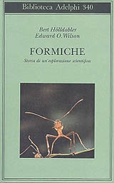 Copertina Formiche