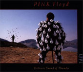 Pink Floyd - Delicate sound of thunder