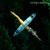 Wright Richard - Broken China